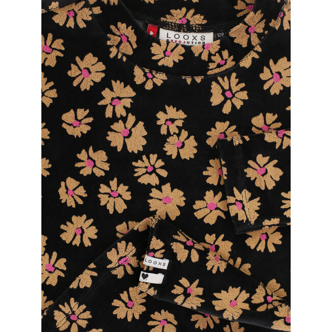 Little velvet top soft winterflower