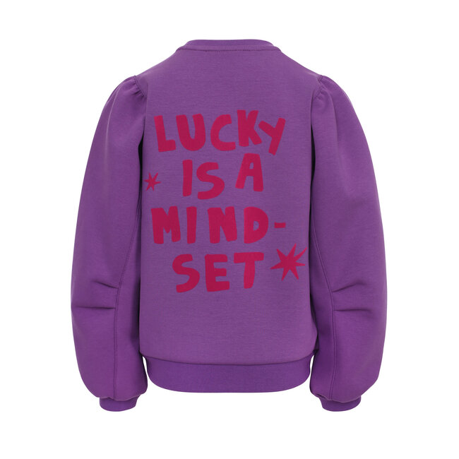 Little sporty scuba sweat sweater violet purple