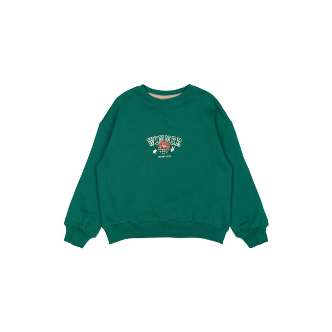 Sweatshirt Paul  alpine green