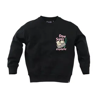 Z8 kids Sweater Nikko night sky