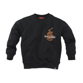 Z8 kids Sweater Bowie night sky