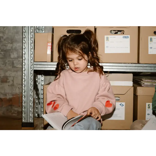 Sweater heart embroidery pale mauve