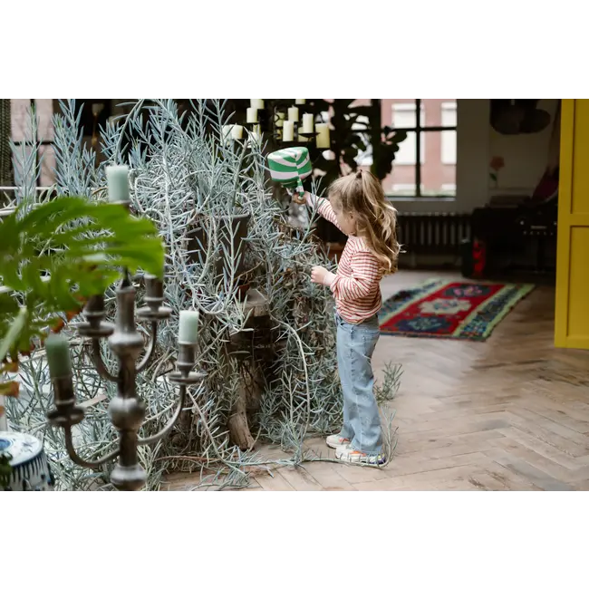 Longsleeve stripe baked apple