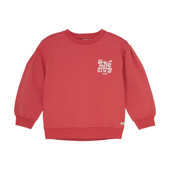 Sweater brushed print baked apple
