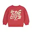 Sweater brushed print baked apple