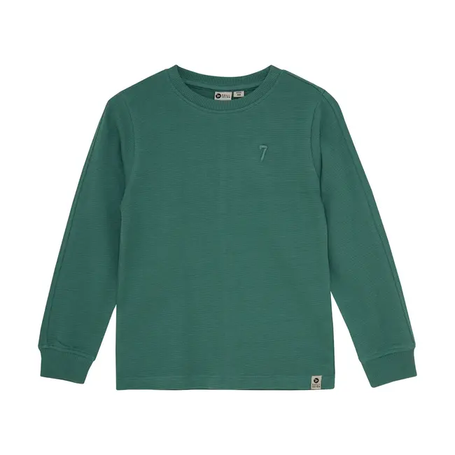 Longsleeve logo blue spruce
