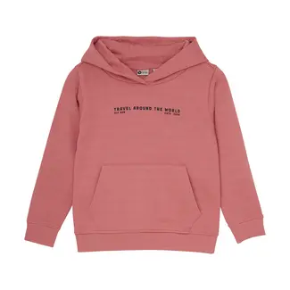 Daily7 Hoodie artwork coral clay