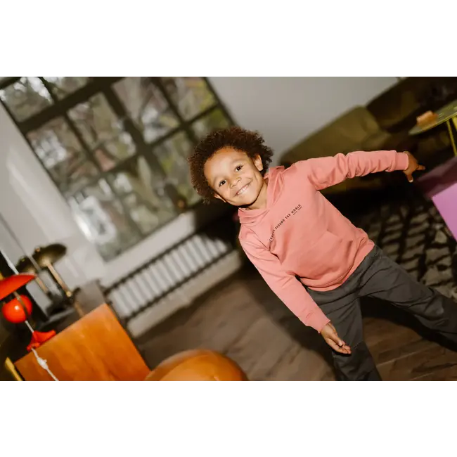 Hoodie artwork coral clay