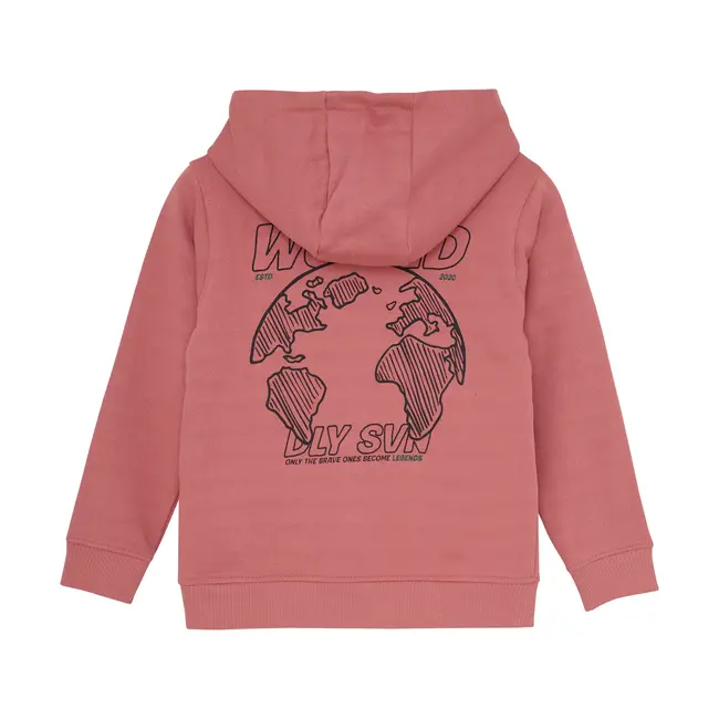 Hoodie artwork coral clay