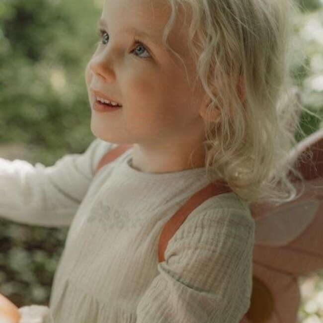 Feeenvleugels en toverstaf Fairy Garden