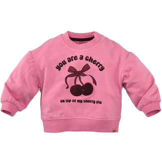 Z8 mini Sweater Lichelle wild rose