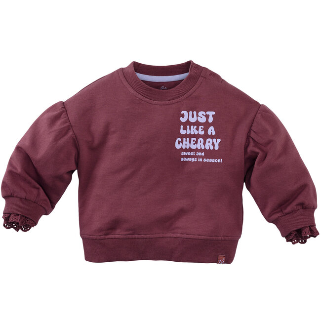 Sweater Lizelot spicy mauve