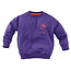 Sweater Teun purpureus