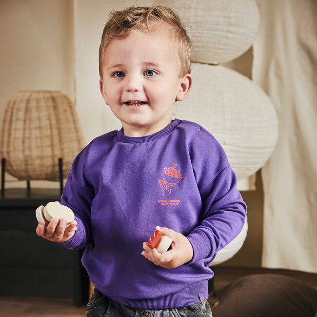 Sweater Teun purpureus