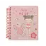 Aankleed en stickerboek Rosa & Friends