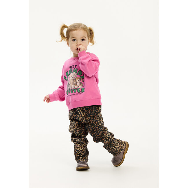 Jeans straight Paloma feather gray aop