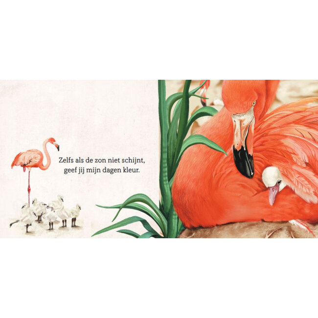 Papa, ik hou van jou