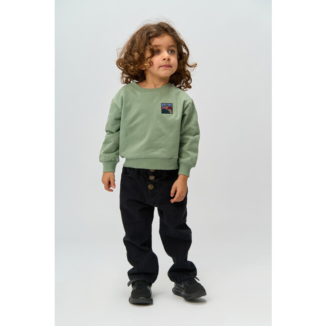 Sweater Rolando lily pad