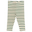Legging Fro lily pad striped