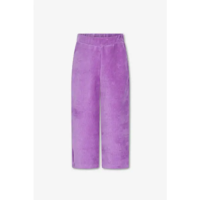 Broek Atlas Bellflower