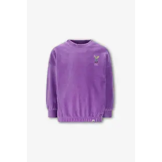 The New Chapter Sweater Bobbie Bellflower