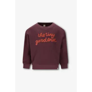 The New Chapter Sweater Bo Vineyard Wine