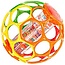 Oball Rollin' Rainstick Rattle