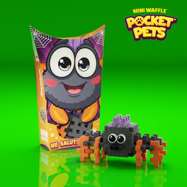 Mini Waffle - Pocket Pets - Spider
