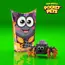 Mini Waffle - Pocket Pets - Spider