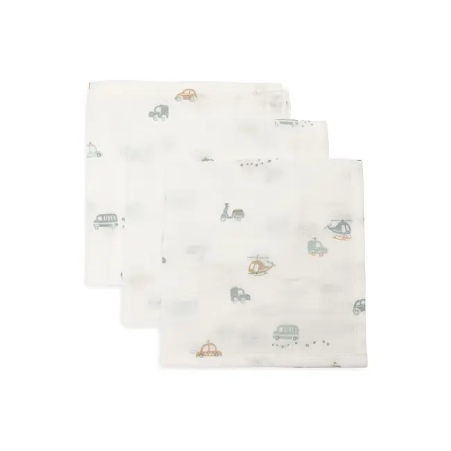 Jollein hydrofiel monddoekje 31x31cm 3pack On The Go