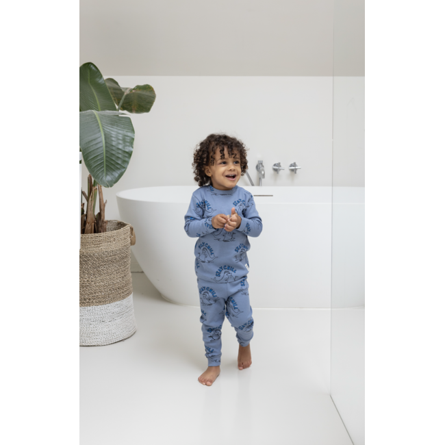 Pyjama Willy Walrus - Premium Sleepwear blauw