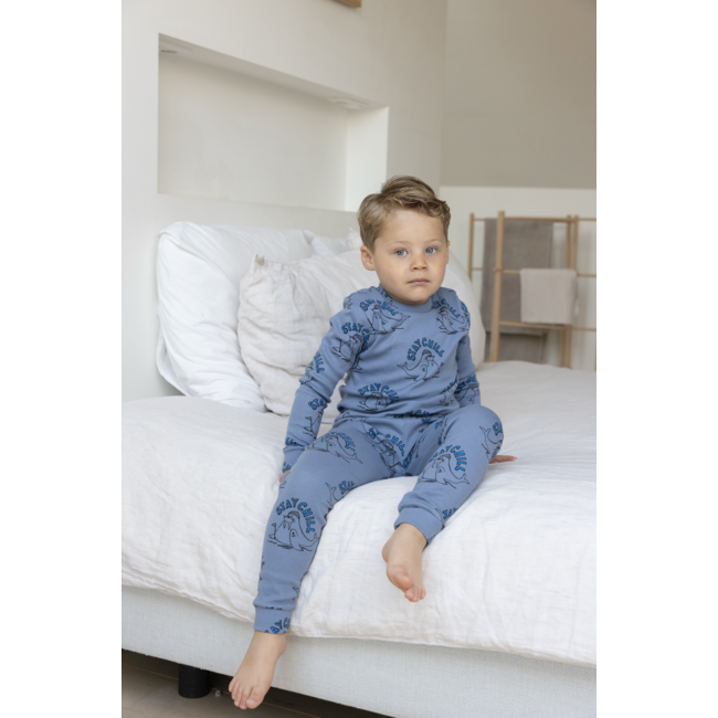 Pyjama Willy Walrus - Premium Sleepwear blauw