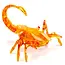 HexBots Scorpion Oranje