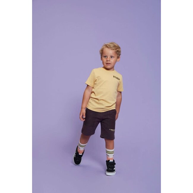 Sturdy short - Desert Fiesta d.bruin