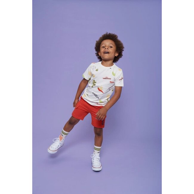 Sturdy t-shirt aop - Desert Fiesta offwhite