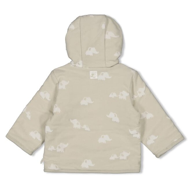 Feetje omkeerbaar jasje met capuchon ao - Elephant mint