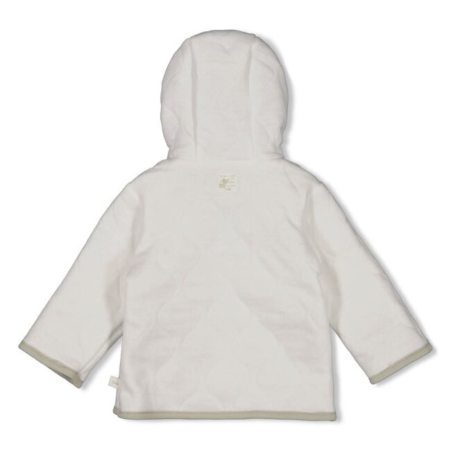 Feetje omkeerbaar jasje met capuchon ao - Elephant mint