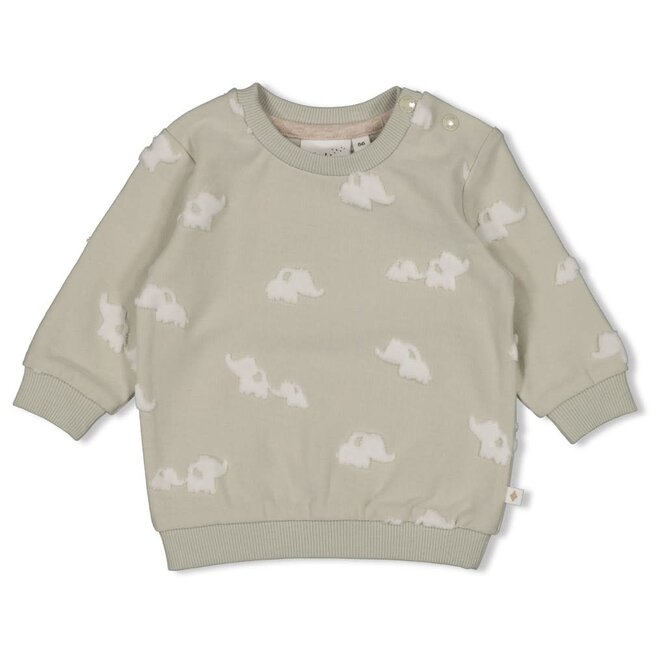 Feetje sweater ao - Elephant mint