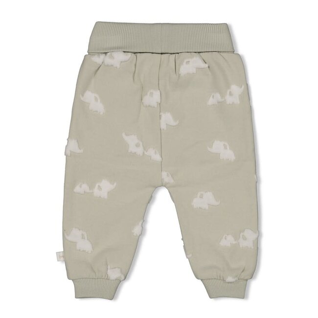 Feetje broek ao - Elephant mint
