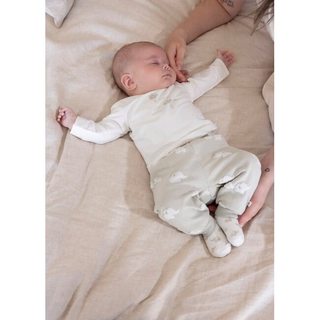 Feetje broek ao - Elephant mint