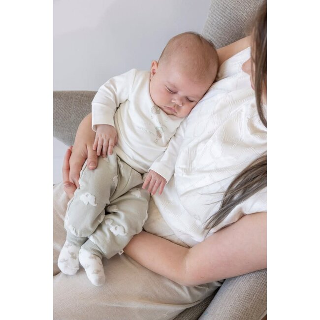 Feetje broek ao - Elephant mint