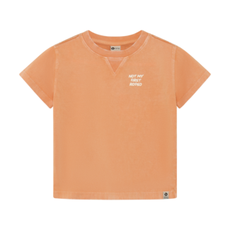 Daily7 Daily7 t-shirt backprint sandstone