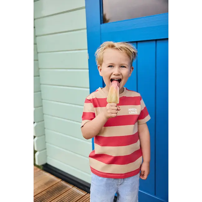 Daily7 t-shirt big stripe chrysanthemum