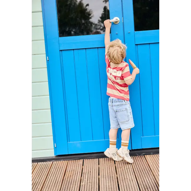 Daily7 t-shirt big stripe chrysanthemum