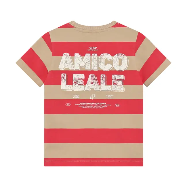 Daily7 t-shirt big stripe chrysanthemum