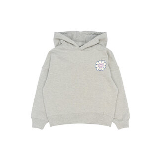 The New The New hoodie Soffi light grey melange