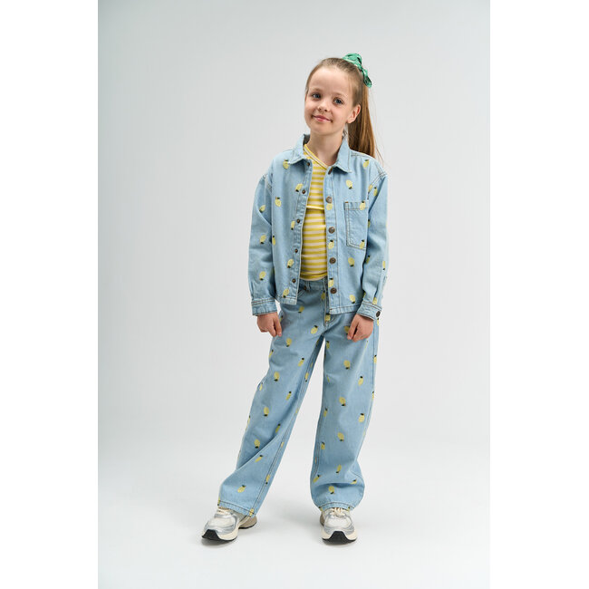 The New blouse Sia light blue denim emb