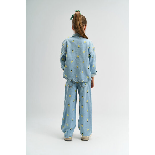 The New blouse Sia light blue denim emb