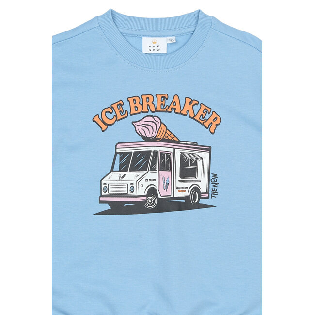 The New sweatshirt Stefan feather gray aop