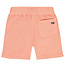 Tumble 'n Dry shorts Big Wave fresh salmon